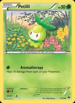 Petilil card in English