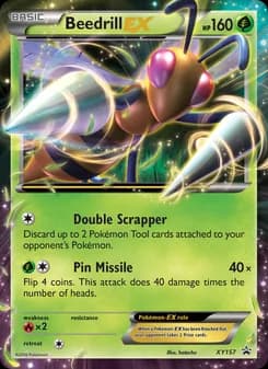 Beedrill EX card in English