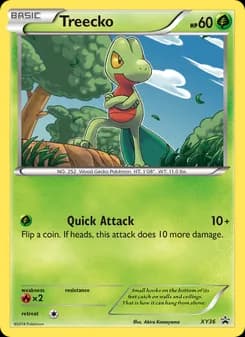 Treecko card in English