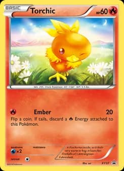 Torchic card in English