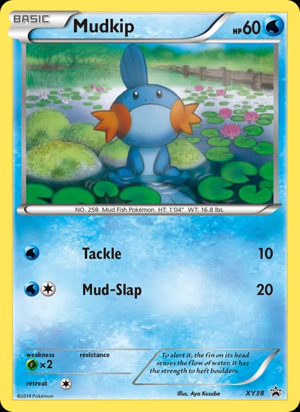 Mudkip card in English