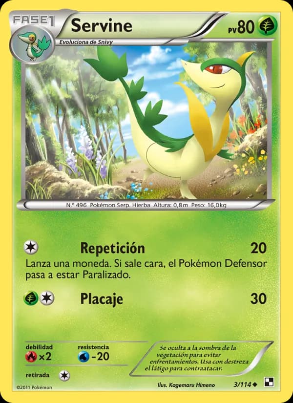 Servine card in Spanish