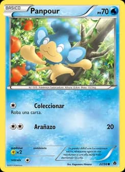 Panpour card in Spanish