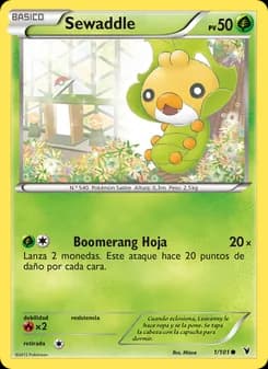 Sewaddle card in Spanish