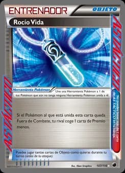 Rocío de Vida card in Spanish