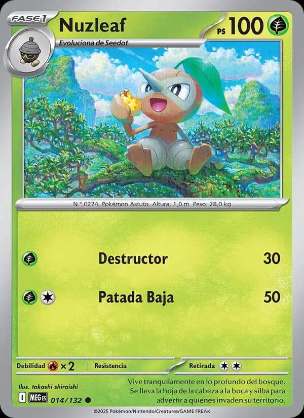 Nuzleaf card in Spanish