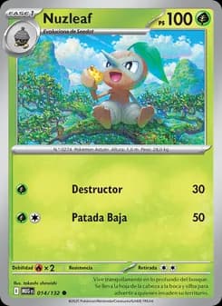 Nuzleaf card in Spanish