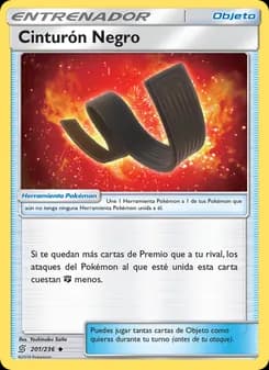 Cinturón Negro card in Spanish