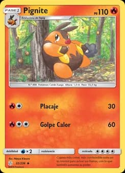 Pignite card in Spanish