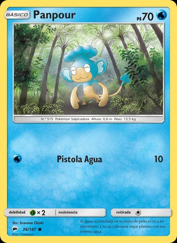 Panpour card in Spanish