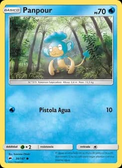 Panpour card in Spanish