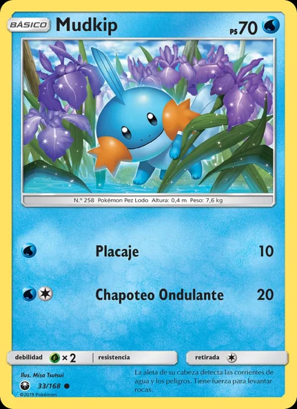 Mudkip card in Spanish