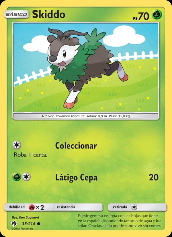 Skiddo card in Spanish