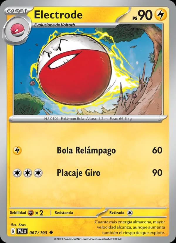Electrode card in Spanish