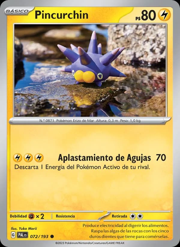 Pincurchin card in Spanish