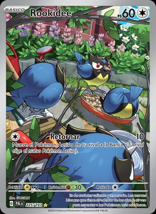 Rookidee card in Spanish
