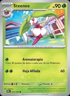 Steenee card in Spanish