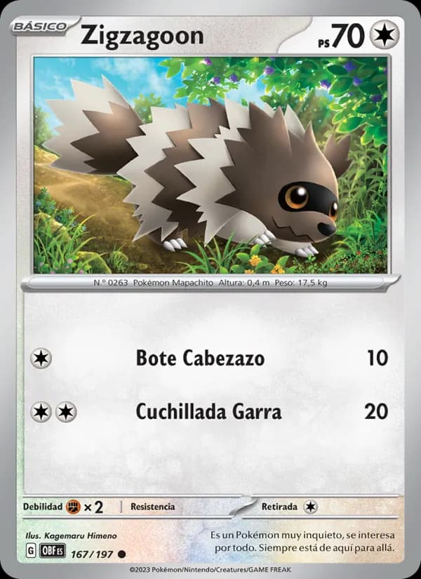 Zigzagoon card in Spanish
