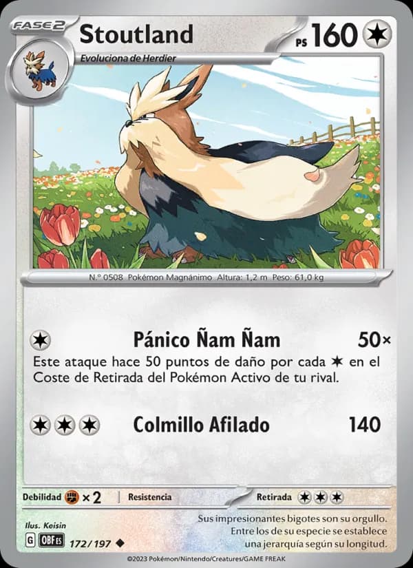 Stoutland card in Spanish