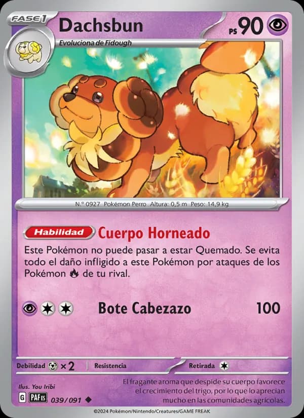 Dachsbun card in Spanish