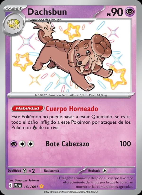 Dachsbun card in Spanish