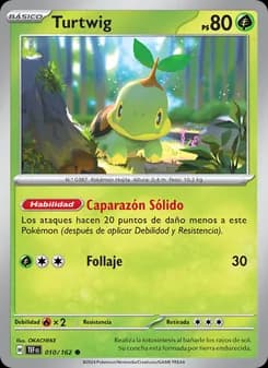 Turtwig card in Spanish