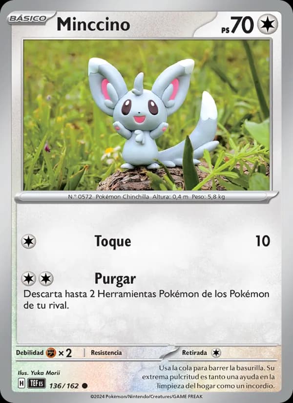 Minccino card in Spanish