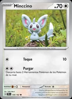 Minccino card in Spanish