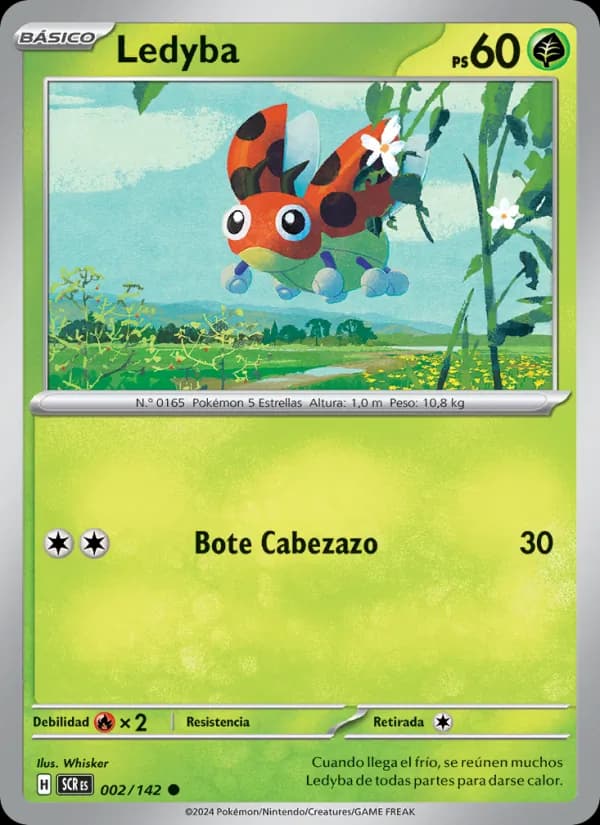 Ledyba card in Spanish