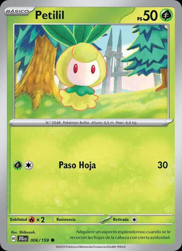 Petilil card in Spanish