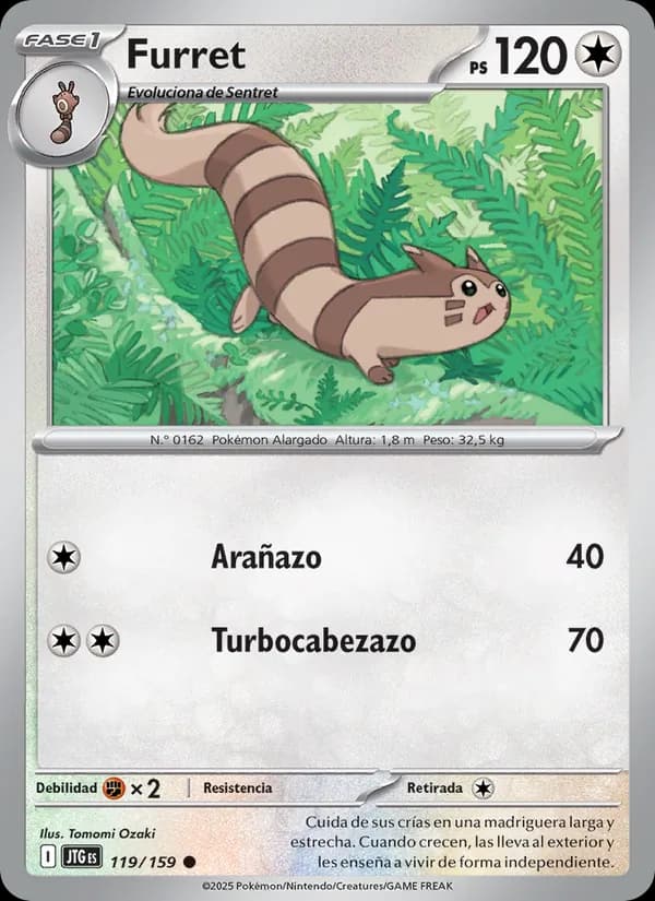 Furret card in Spanish