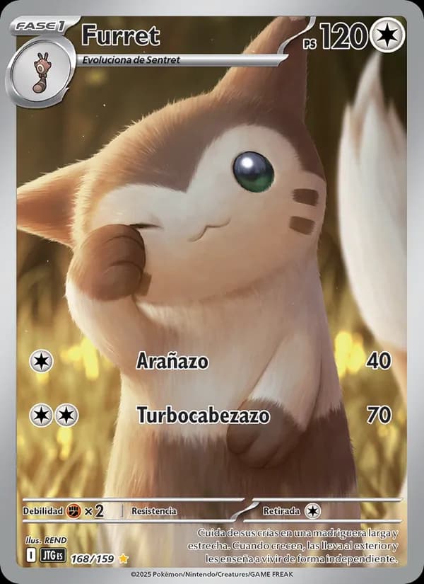 Furret card in Spanish