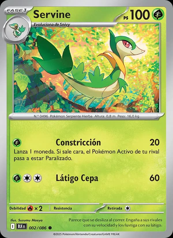 Servine card in Spanish