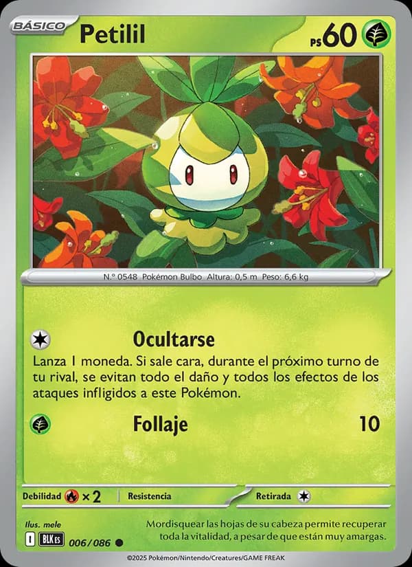 Petilil card in Spanish