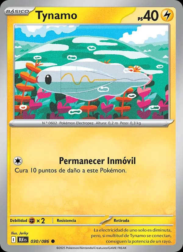 Tynamo card in Spanish