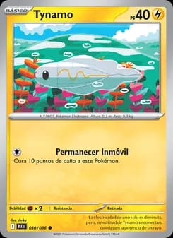 Tynamo card in Spanish