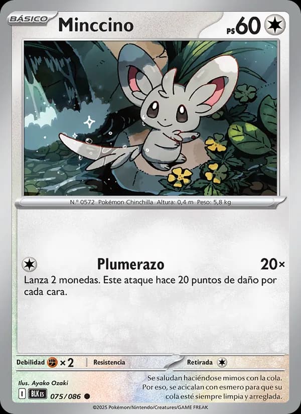 Minccino card in Spanish