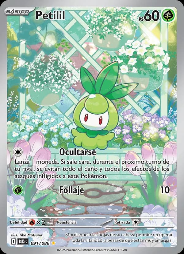 Petilil card in Spanish