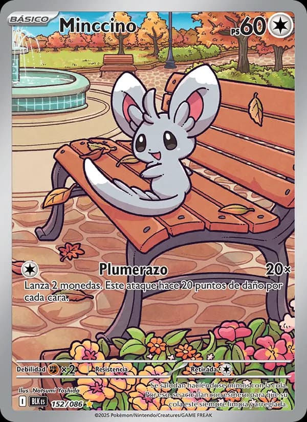 Minccino card in Spanish