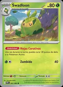 Swadloon card in Spanish