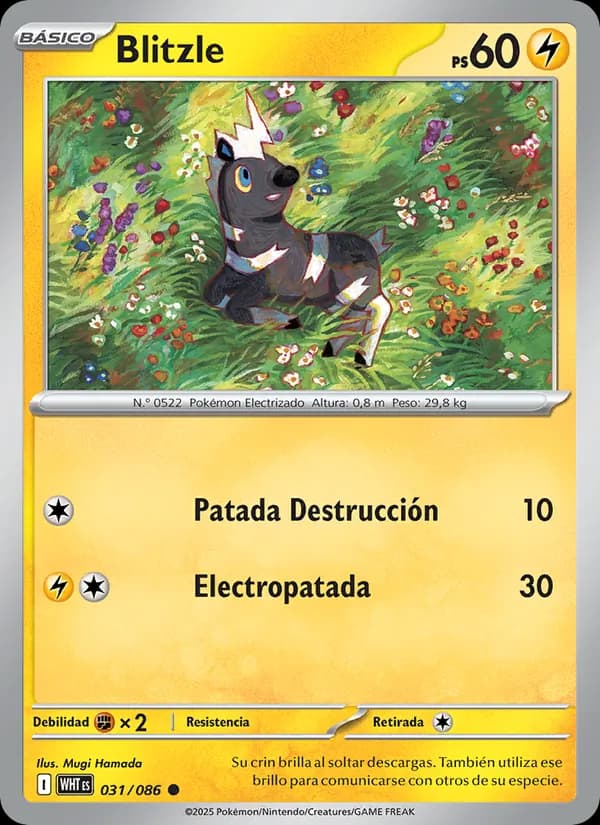 Blitzle card in Spanish