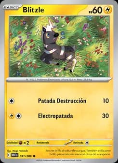 Blitzle card in Spanish