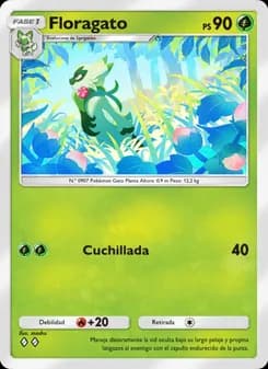 Floragato card in Spanish