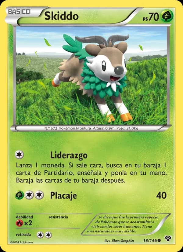 Skiddo card in Spanish