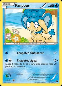 Panpour card in Spanish