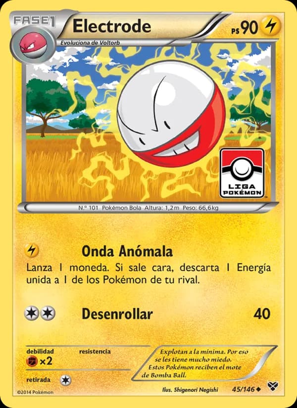 Electrode card in Spanish