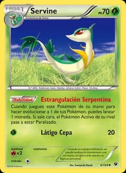 Servine card in Spanish