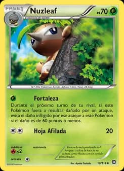 Nuzleaf card in Spanish