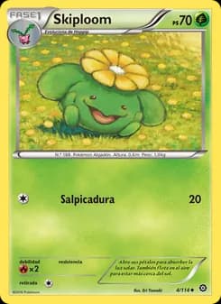 Skiploom card in Spanish