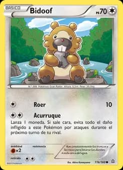 Bidoof card in Spanish
